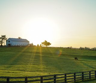 ferme agricole